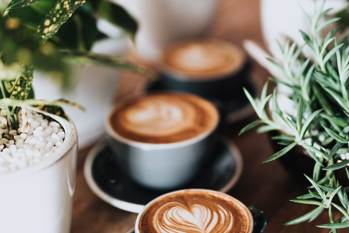 Folio Roast — latte art